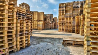 خدمات سورتینگ پیشرفته میوه و سبزیجات با کیفیت بالا