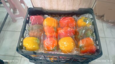 سورتینگ-میوه درجه یک