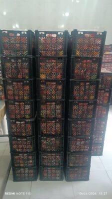 سورتینگ پیشرفته میوه