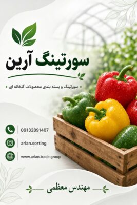 صیفی جات